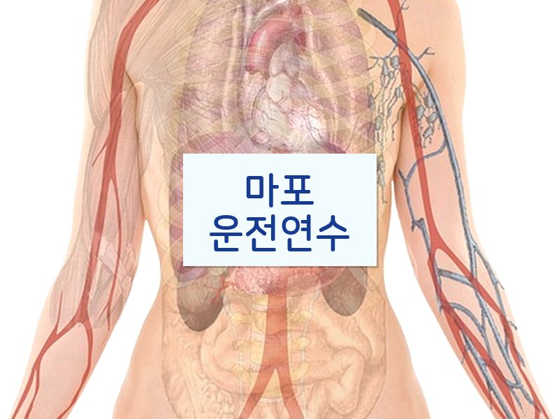 마포운전연수 후기