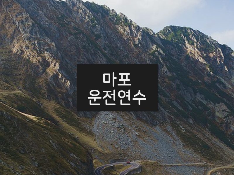 마포운전연수 후기