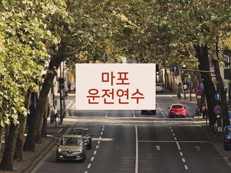 마포운전연수 후기