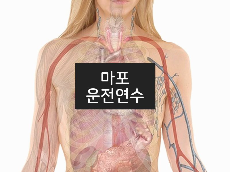 마포운전연수 후기