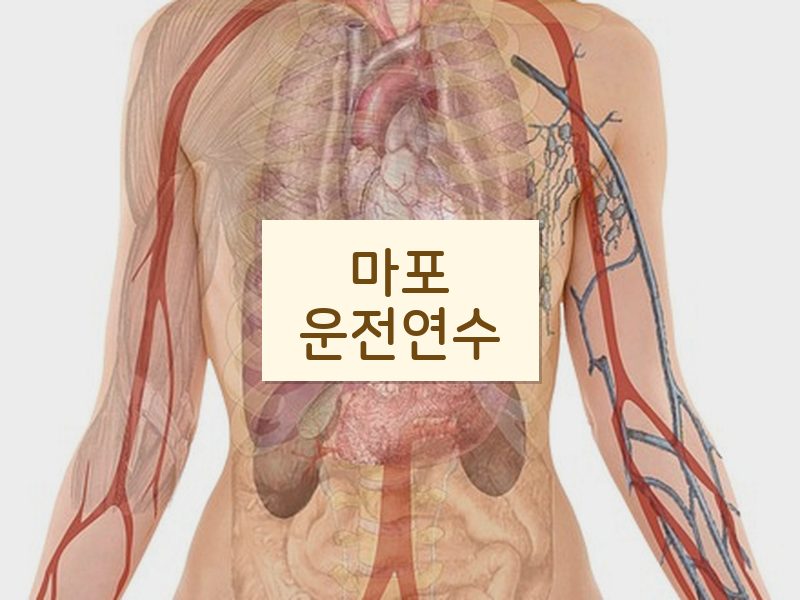 마포운전연수 후기