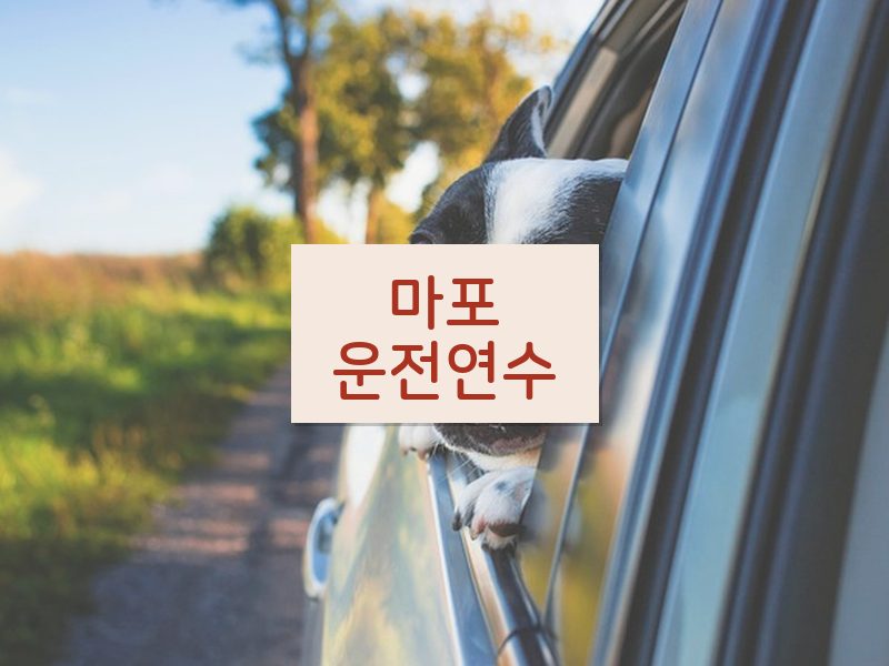 마포운전연수 후기