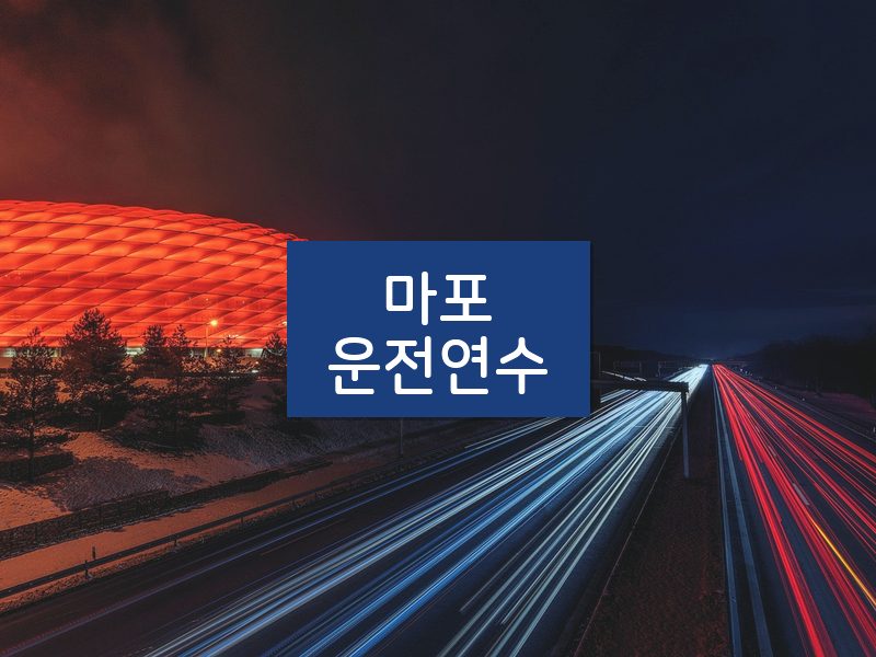 마포운전연수 후기