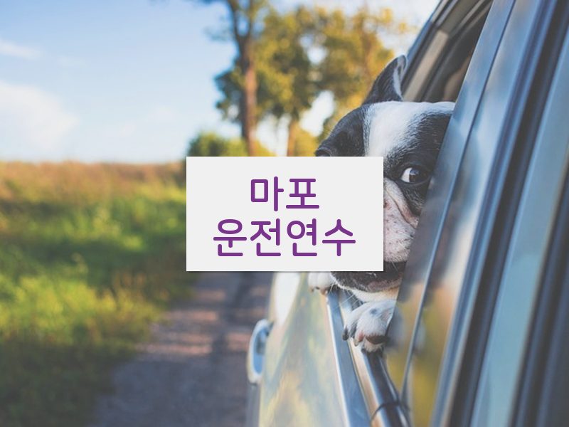 마포운전연수 후기