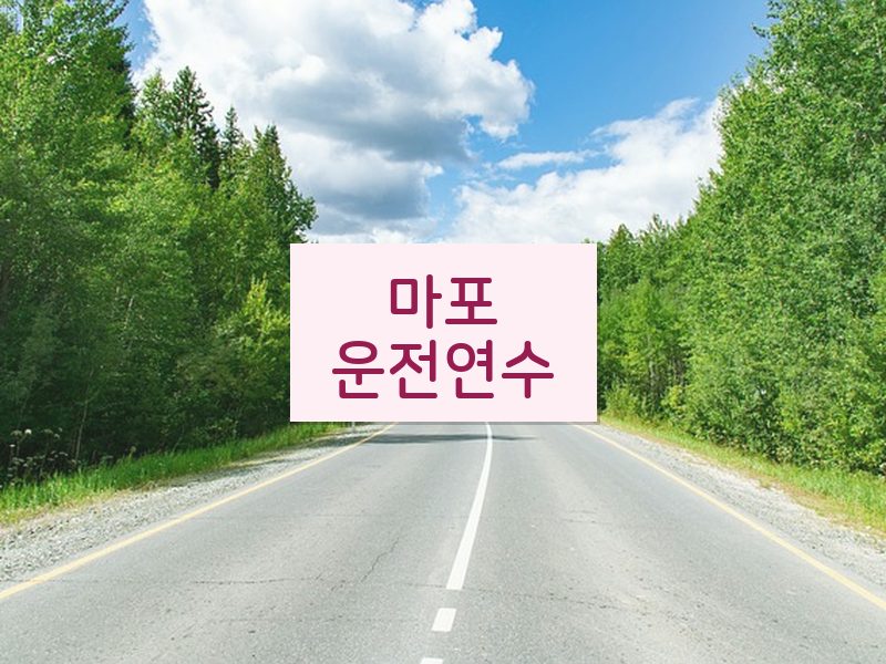 마포운전연수 후기