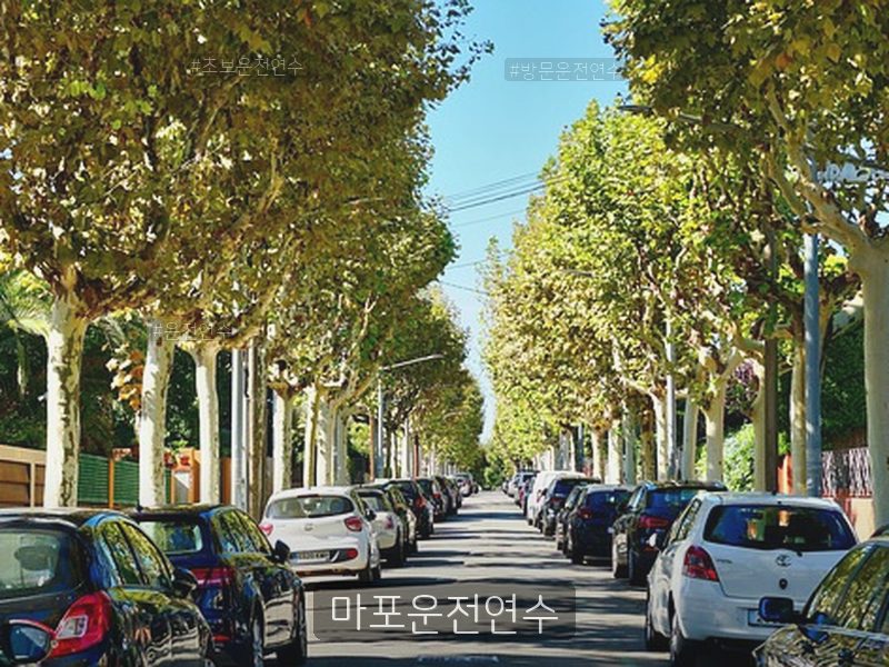 마포운전연수 후기