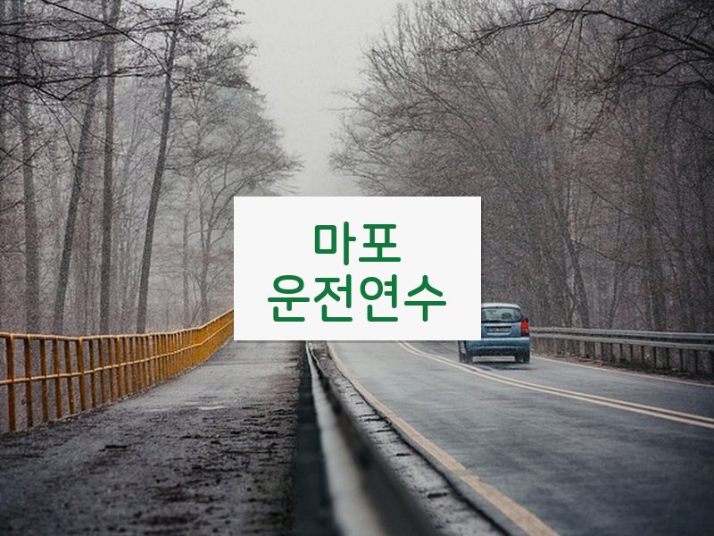 마포운전연수 후기