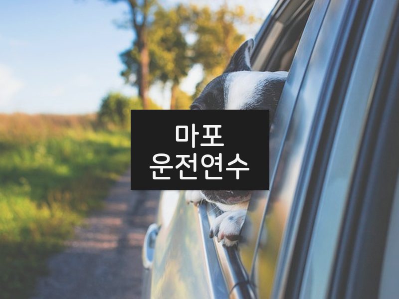 마포운전연수 후기