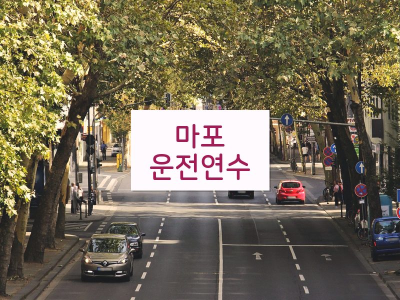 마포운전연수 후기
