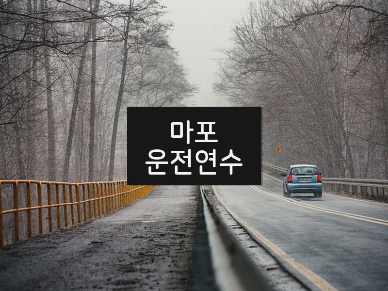 마포운전연수 후기