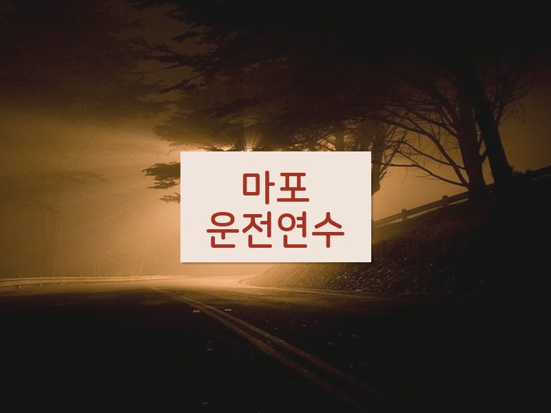 마포운전연수 후기