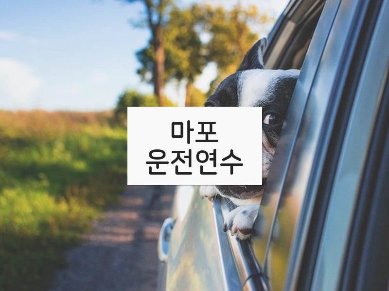 마포운전연수 후기