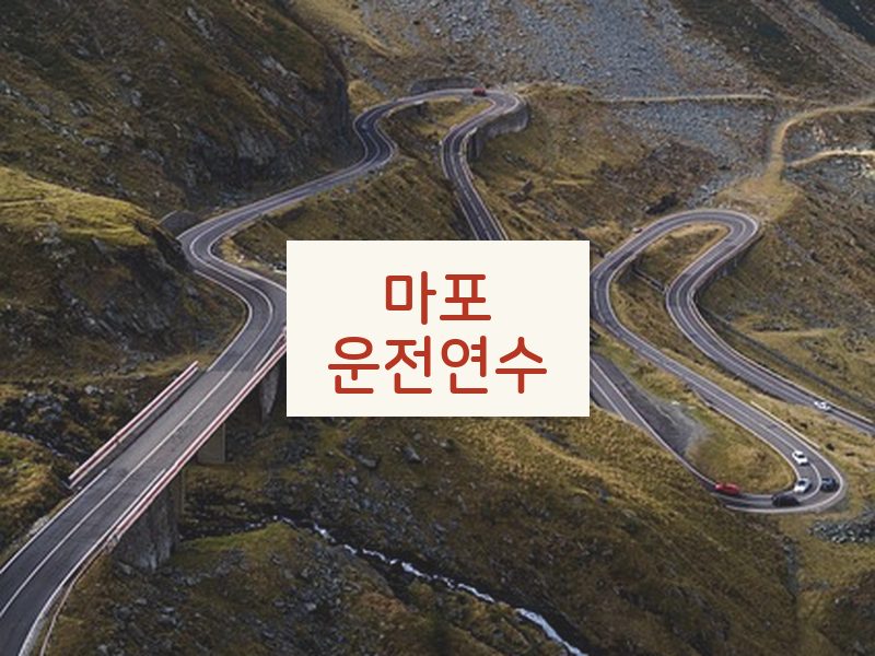 마포운전연수 후기
