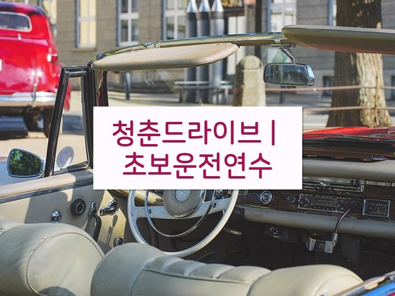 청춘드라이브 | 초보운전연수 후기