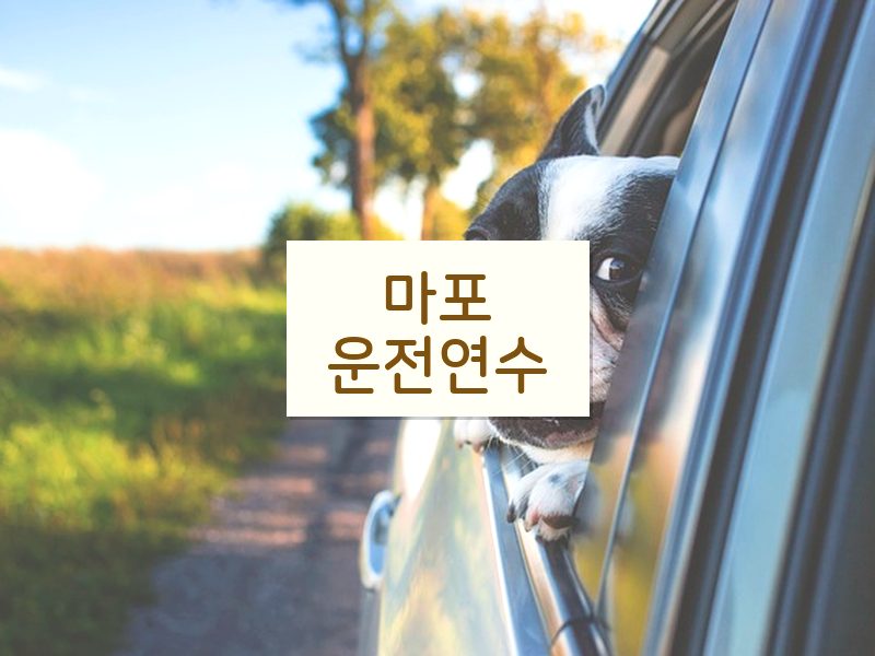 마포운전연수 후기