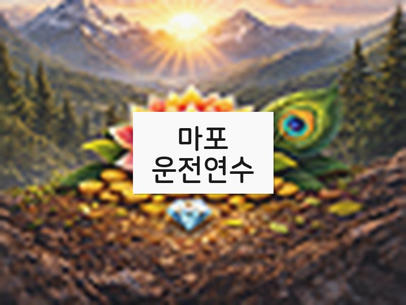 마포운전연수 후기