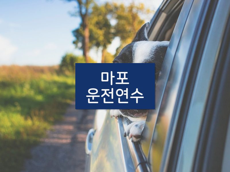 마포운전연수 후기