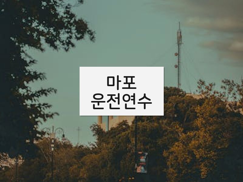 마포운전연수 후기