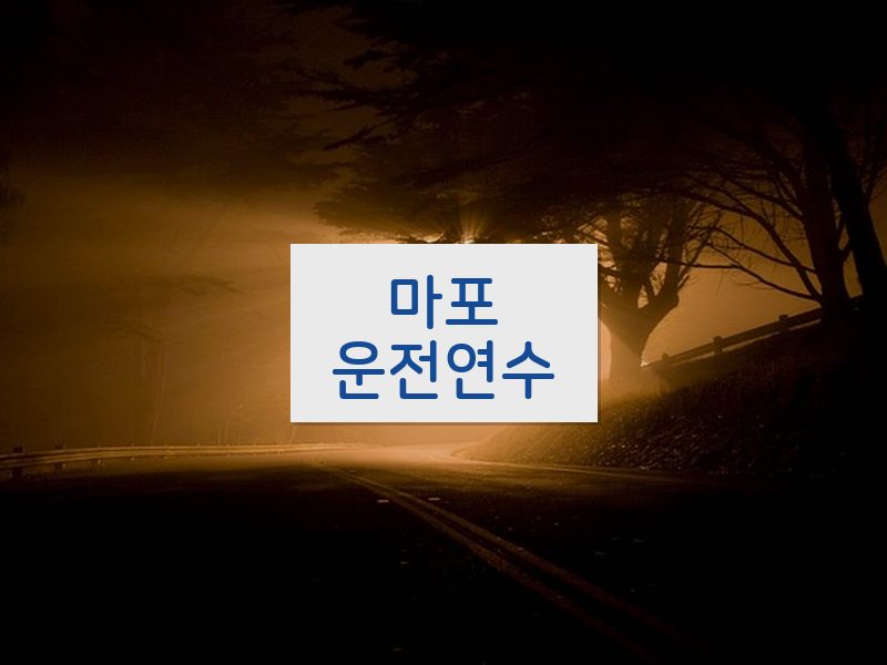마포운전연수 후기