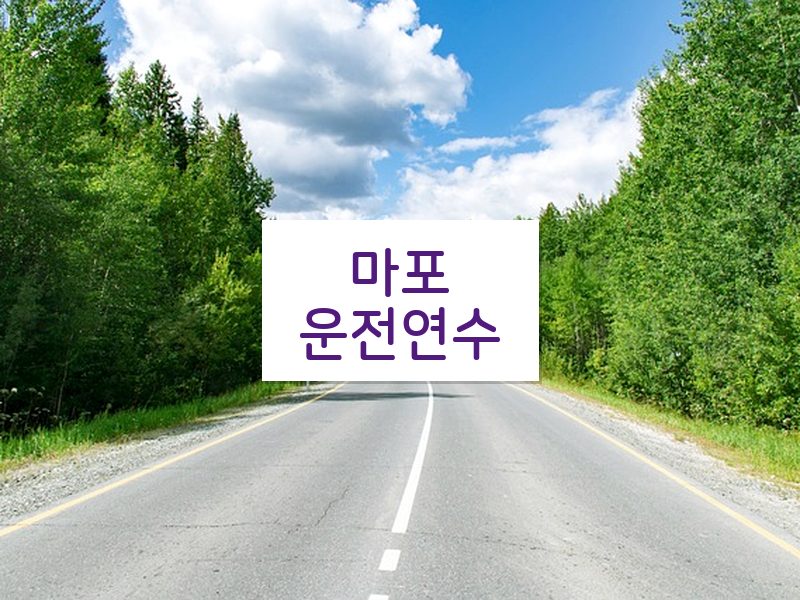 마포운전연수 후기