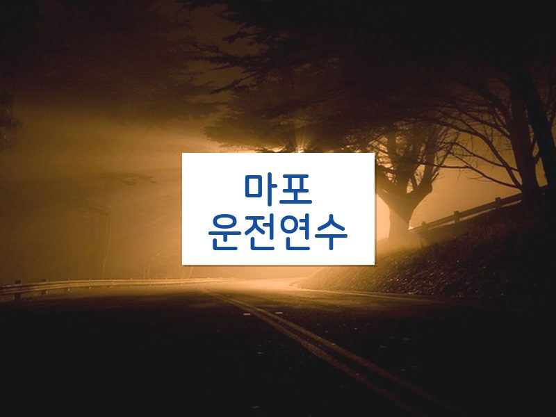 마포운전연수 후기