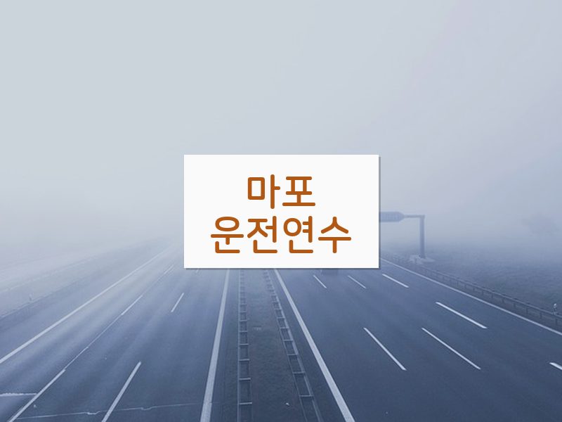 마포운전연수 후기