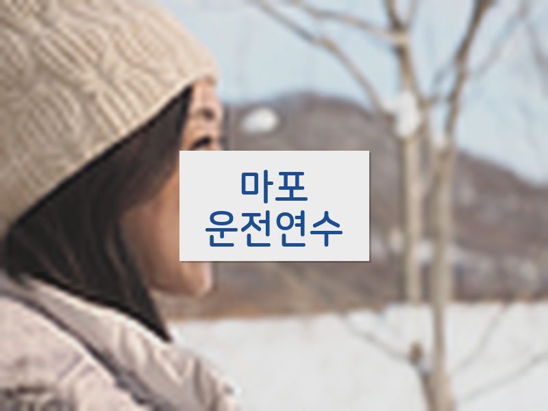 마포운전연수 후기