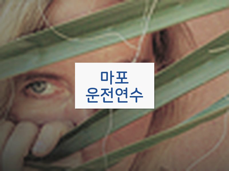 마포운전연수 후기