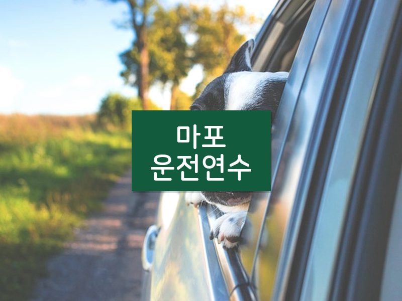 마포운전연수 후기