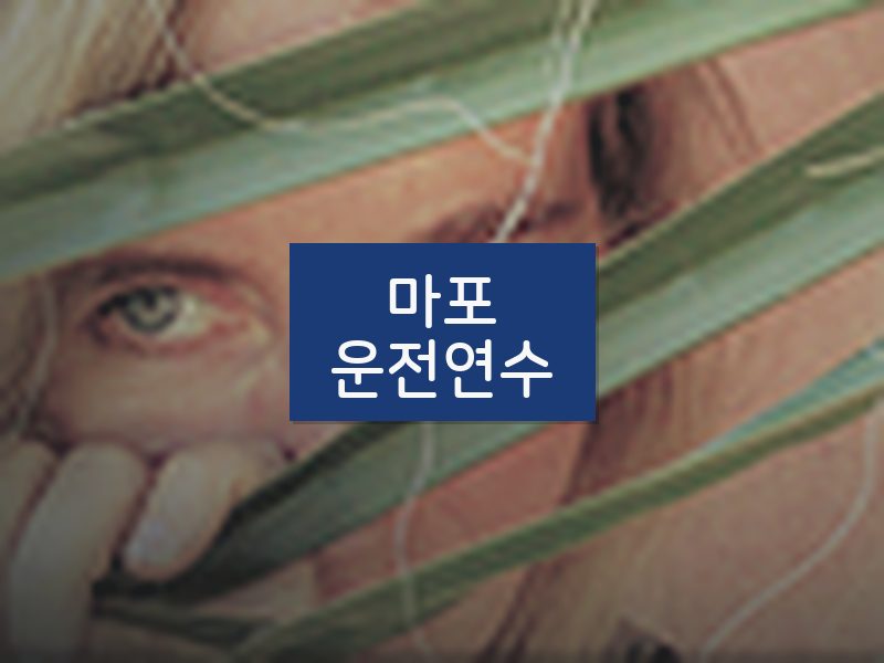 마포운전연수 후기