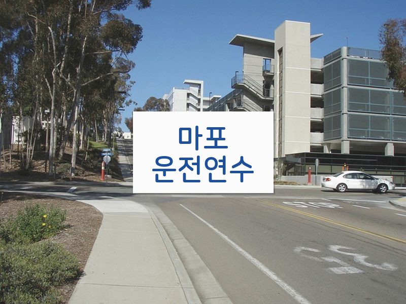 마포운전연수 후기
