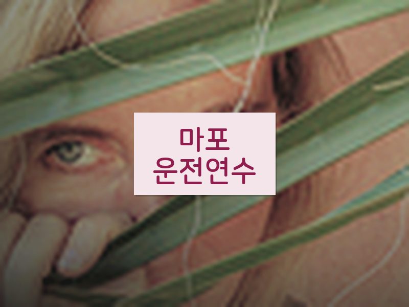 마포운전연수 후기