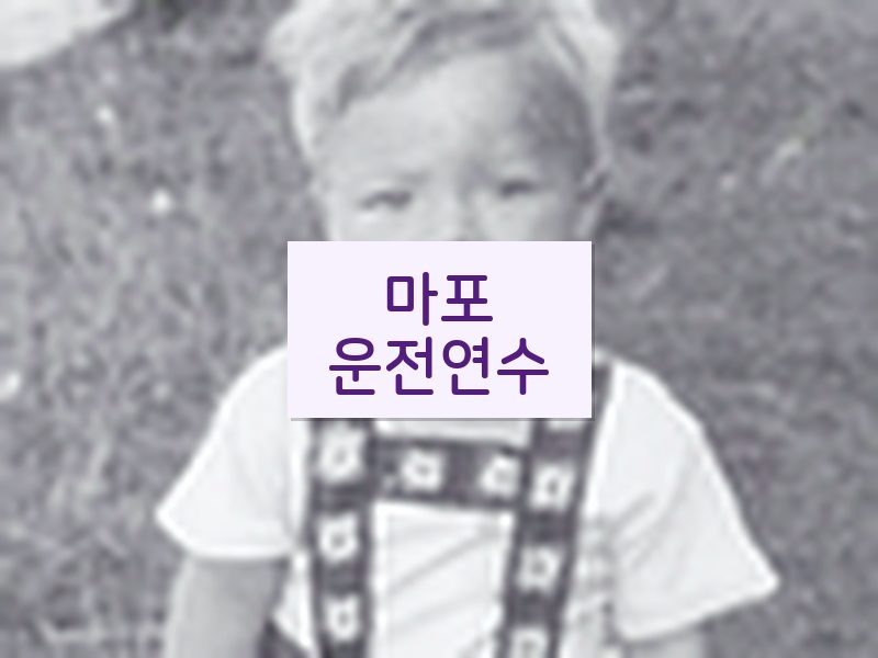 마포운전연수 후기
