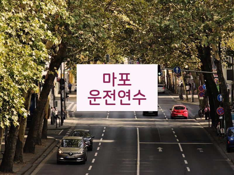 마포운전연수 후기