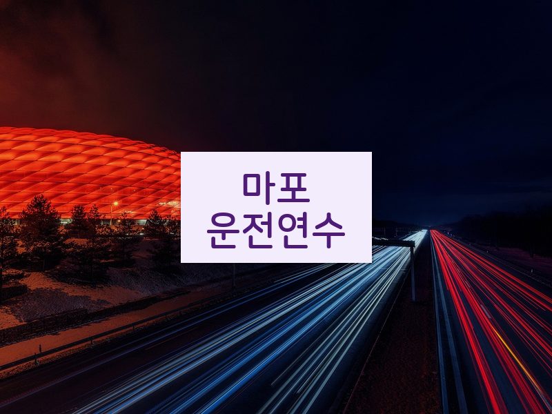 마포운전연수 후기