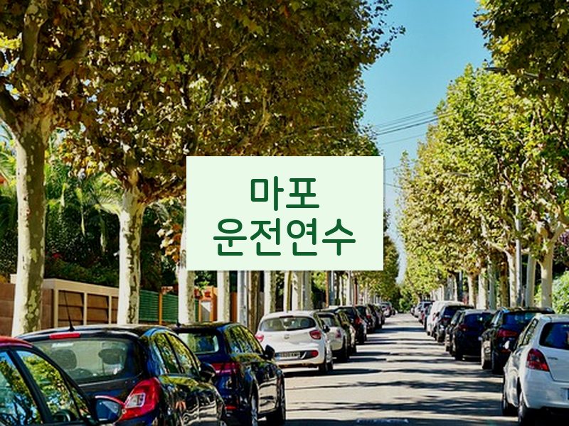 마포운전연수 후기
