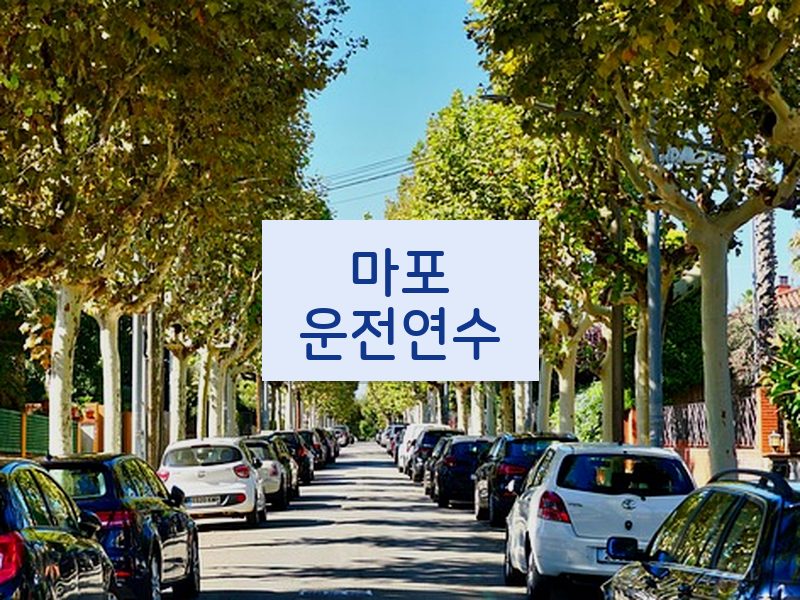 마포운전연수 후기