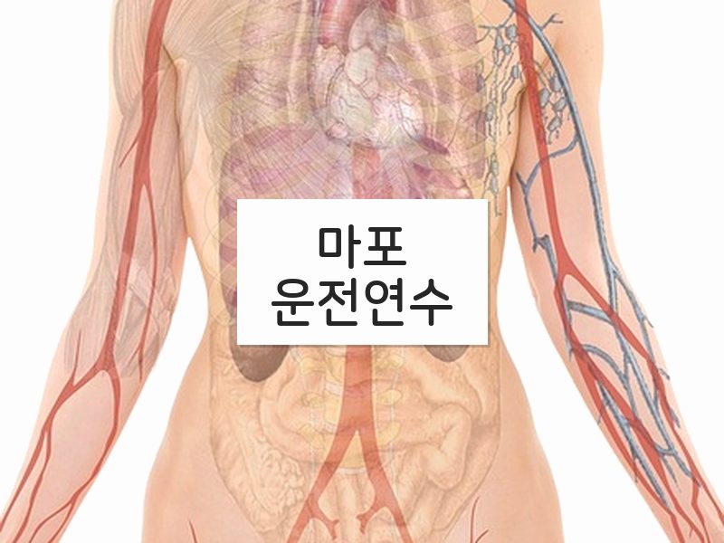 마포운전연수 후기