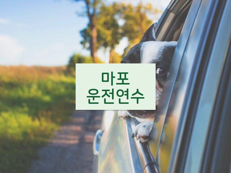 마포운전연수 후기