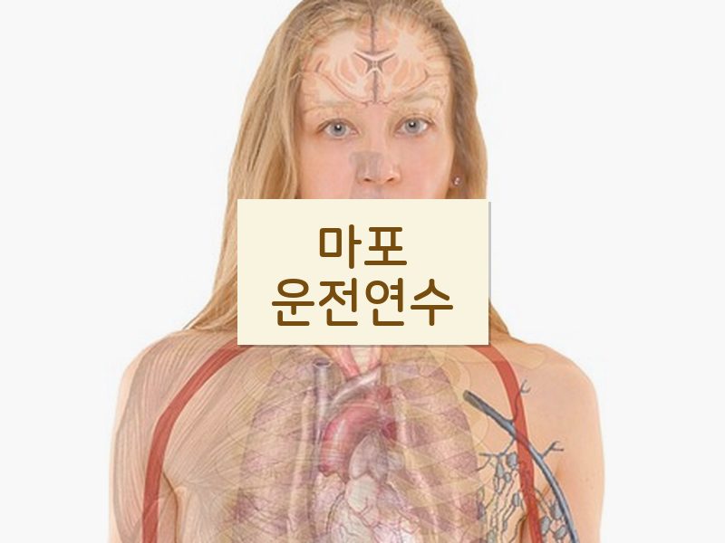 마포운전연수 후기