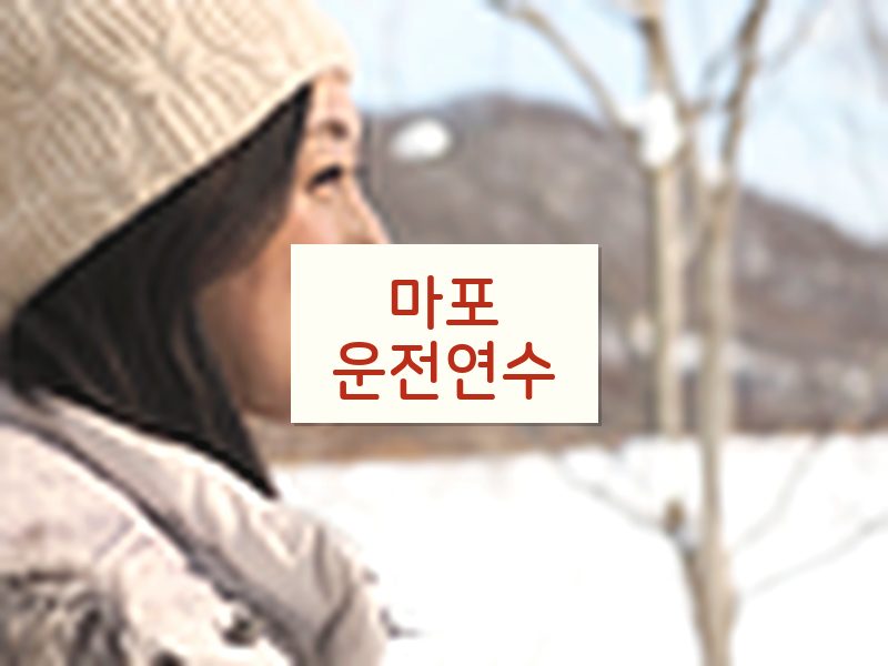마포운전연수 후기