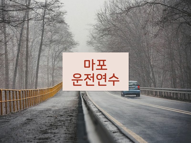 마포운전연수 후기
