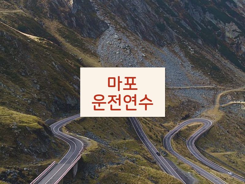 마포운전연수 후기