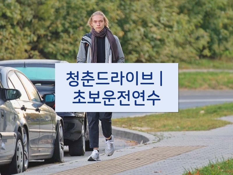 청춘드라이브 | 초보운전연수 후기