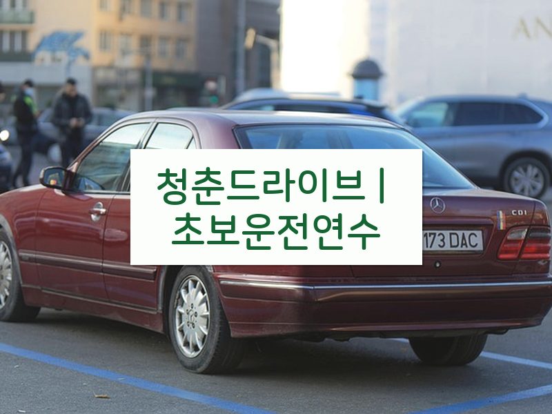 청춘드라이브 | 초보운전연수 후기