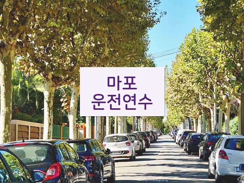 마포운전연수 후기