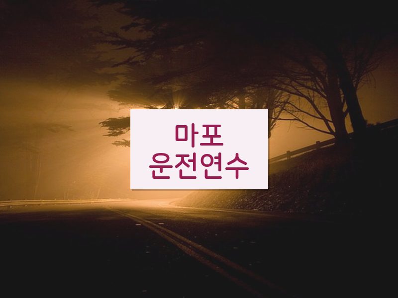 마포운전연수 후기