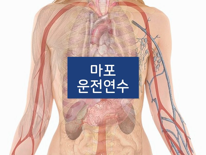 마포운전연수 후기