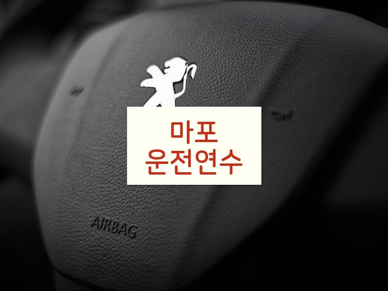 마포운전연수 후기