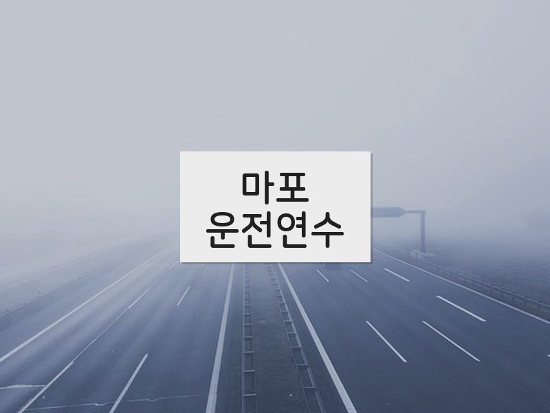 마포운전연수 후기